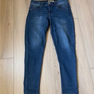Democracy Dark Blue Skinny Jeans